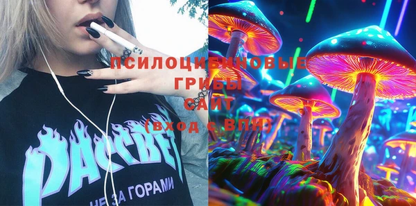 гидропоника Горняк
