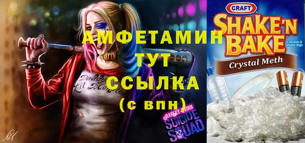 PSILOCYBIN Покачи