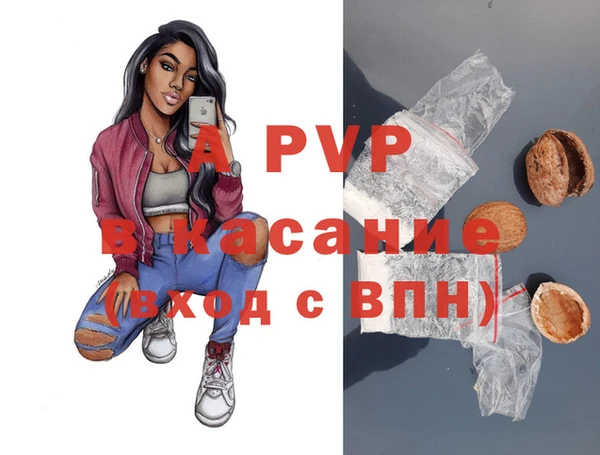 PSILOCYBIN Покачи