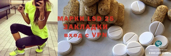 PSILOCYBIN Покачи