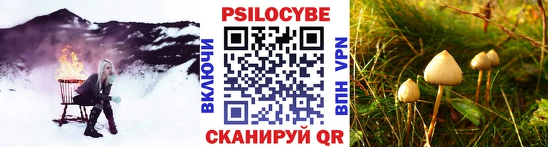 Псилоцибиновые грибы Psilocybe мега ТОР Новосокольники