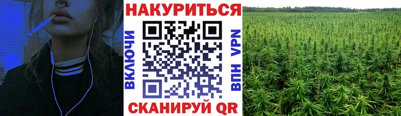 Марихуана Bruce Banner  Новосокольники 